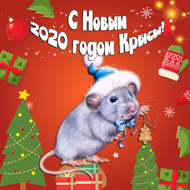Новогоднее Поздравление С 2021 Годом Мыши