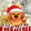 Скачать открытку с Новым Годом Собаки