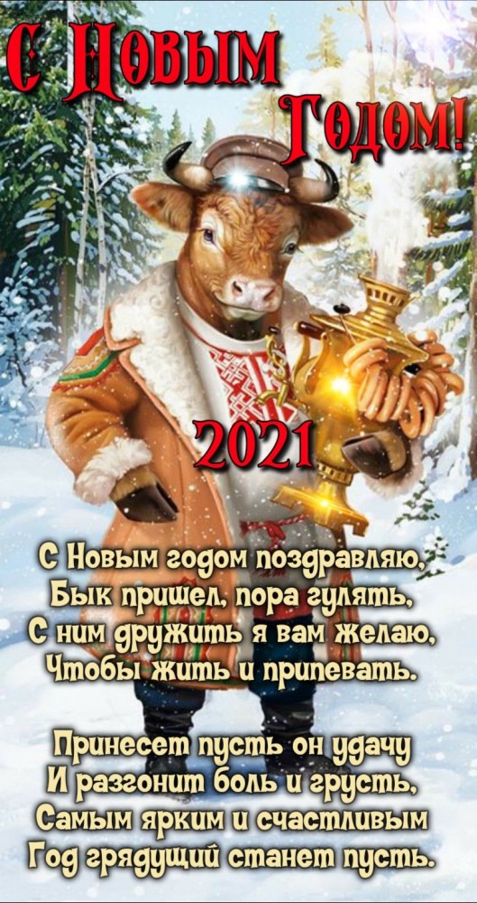 Поздравляю с Новым Годом Быка С Новым годом 2024