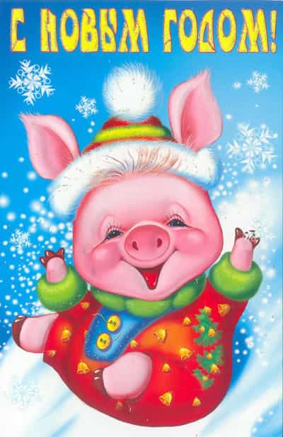 Красивые открытки с Новым Годом свиньи 2019 С Новым годом 2024