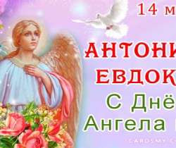 Евдокия и Антонина с днем Ангела