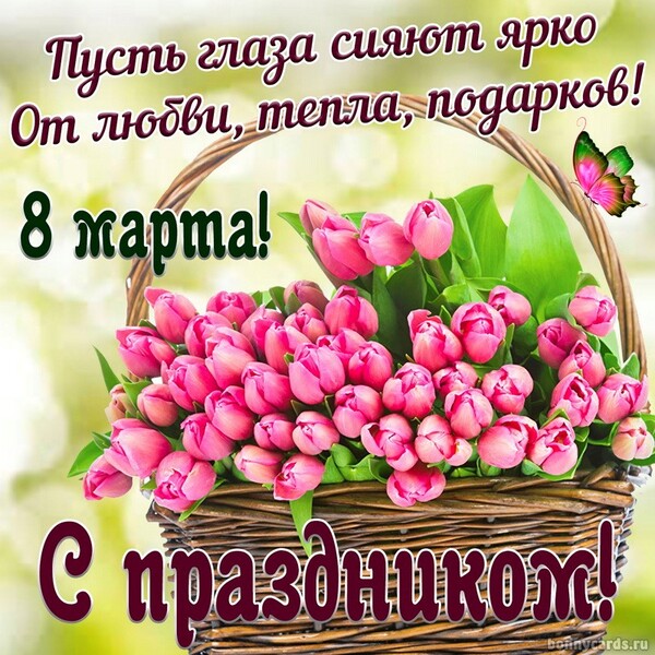 Тюльпаны на праздник 8 марта С 8 марта
