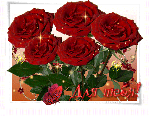 Пять красных роз для тебя Для Тебя