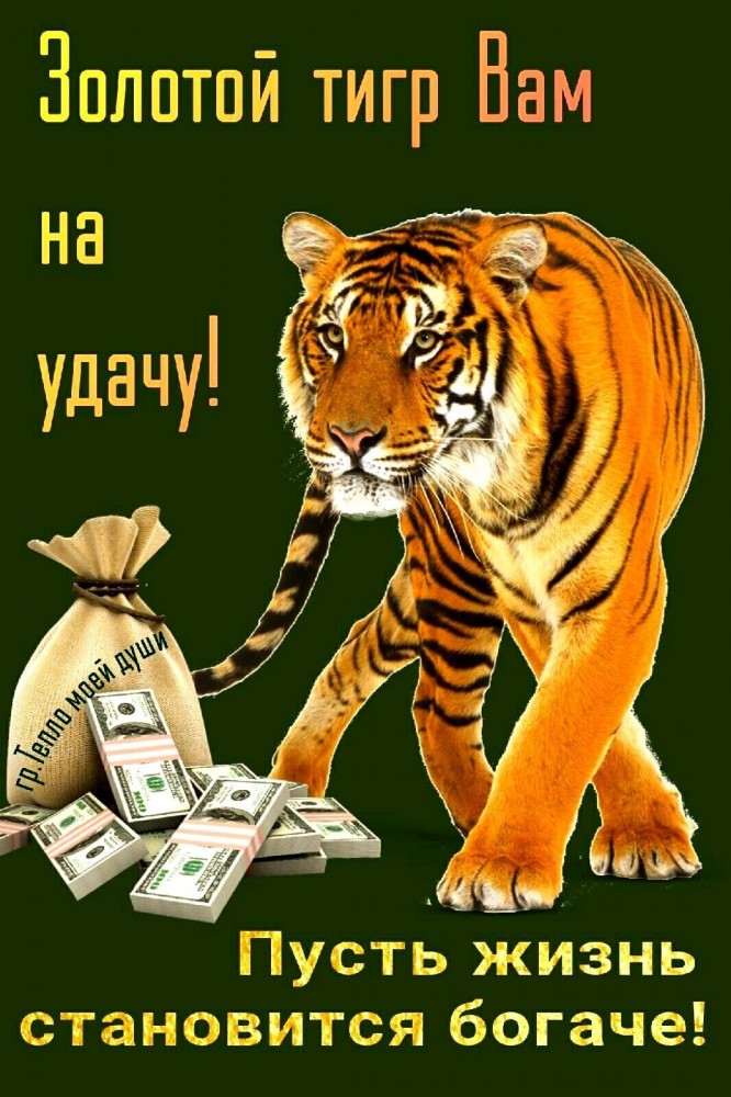 Золотой тигр на удачу! с Новым Годом тигра 2022